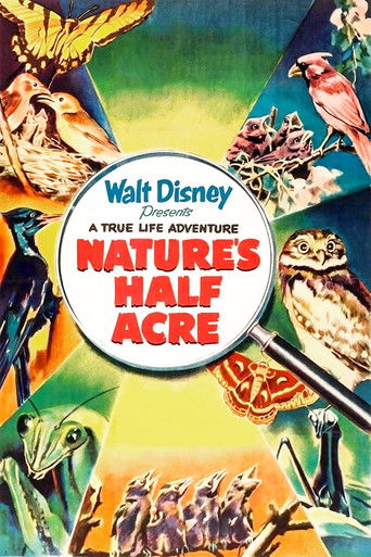 Watch Nature's Half Acre 1951 poster