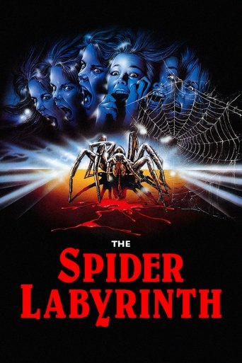 Watch The Spider Labyrinth 1988 poster