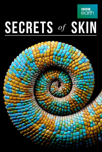 Watch Secrets of Skin 2019 poster