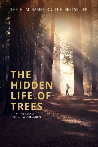 Watch The Hidden Life of Trees 2020 poster