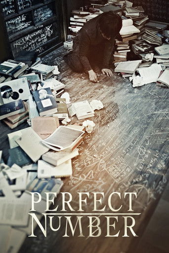 Watch Perfect Number 2012 poster