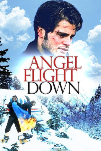 Watch Angel Flight Down 1996 poster