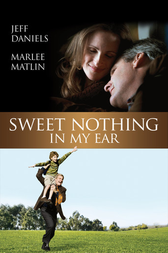 Watch Sweet Nothing in My Ear 2008 poster