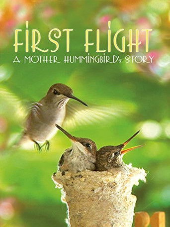 Watch First Flight: A Mother Hummingbird's Story 2009 poster