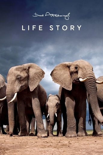 Watch Life Story 2014 poster