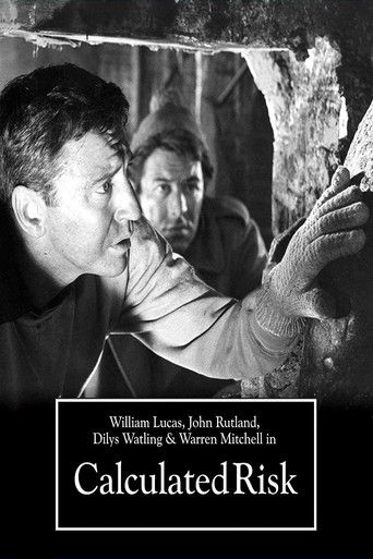 Watch Calculated Risk 1963 poster