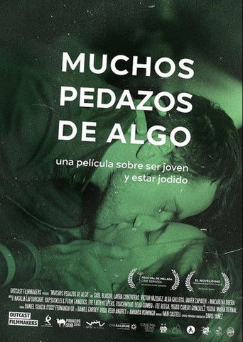 Watch Many Pieces of Something 2015 poster