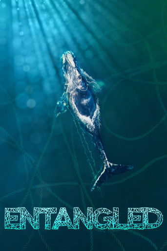 Watch Entangled 2020 poster