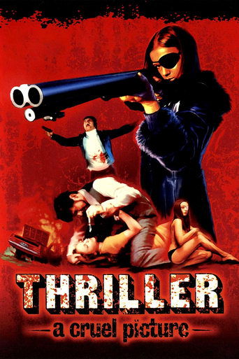 Watch Thriller: A Cruel Picture 1973 poster