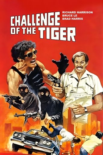 Watch Challenge of the Tiger 1980 poster