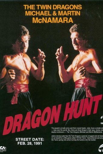 Watch Dragon Hunt 1990 poster
