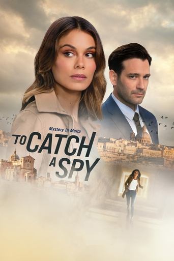 Watch To Catch a Spy 2021 poster