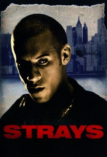 Watch Strays 1997 poster