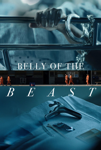 Watch Belly of the Beast 2020 poster