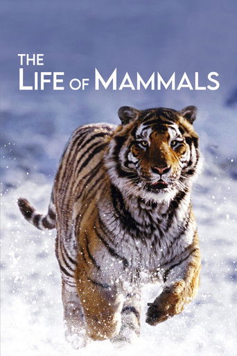 Watch The Life of Mammals 2002 poster