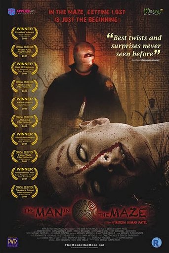 Watch The Man in the Maze 2011 poster