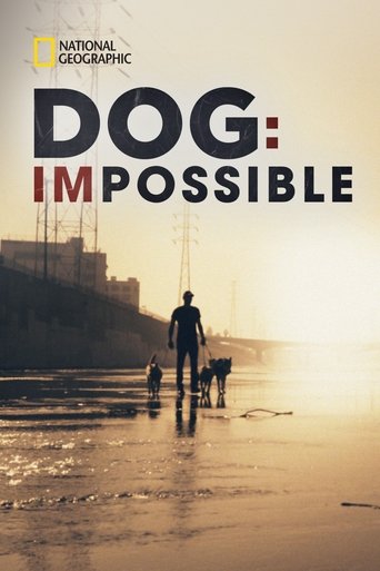 Watch Dog: Impossible 2019 poster
