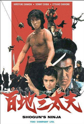 Watch Shogun's Ninja 1980 poster