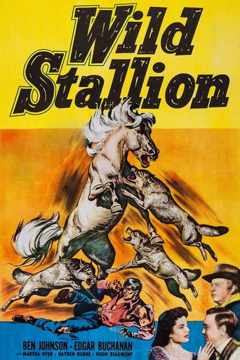 Watch Wild Stallion 1952 poster