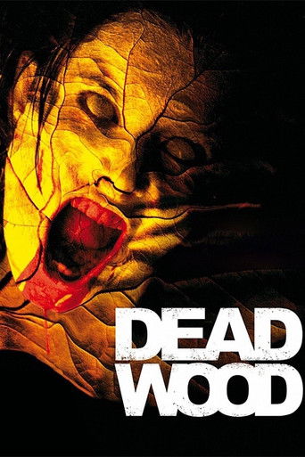 Watch Dead Wood 2007 poster