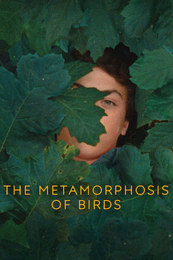 Watch The Metamorphosis of Birds 2021 poster