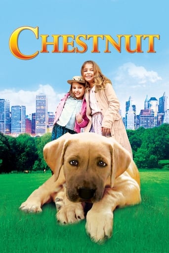 Watch Chestnut: Hero of Central Park 2004 poster