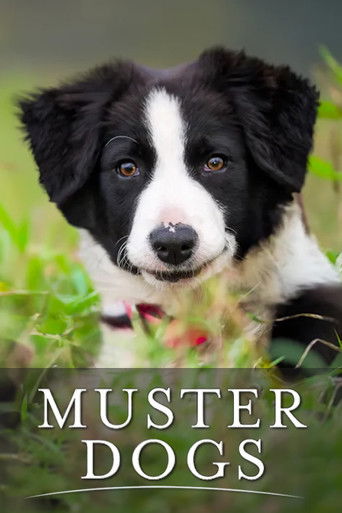 Watch Muster Dogs 2022 poster