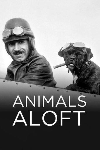 Watch Animals Aloft 2009 poster