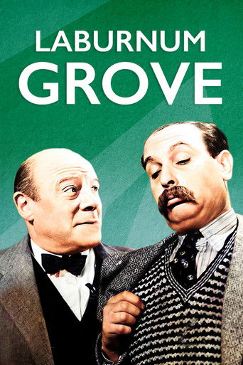 Watch Laburnum Grove 1936 poster
