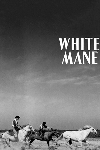 Watch White Mane 1953 poster
