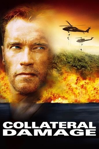 Watch Collateral Damage 2002 poster