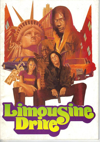 Watch Limousine Drive 2000 poster