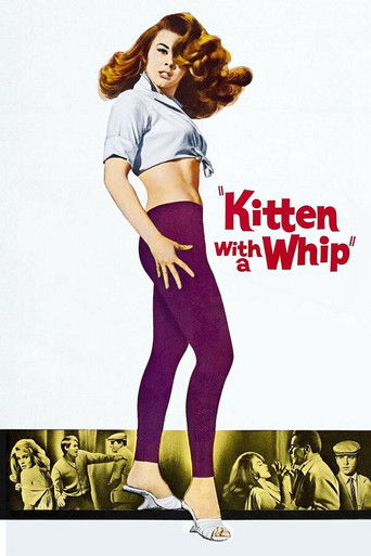 Watch Kitten with a Whip 1964 poster