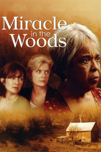 Watch Miracle in the Woods 1997 poster
