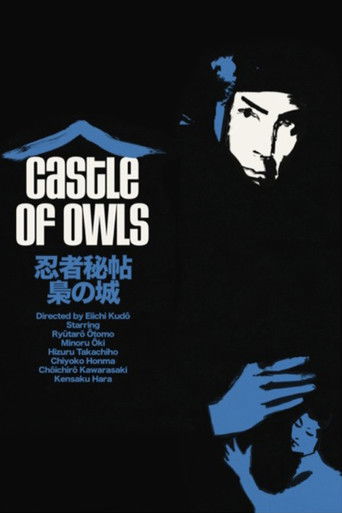 Watch Castle of Owls 1963 poster