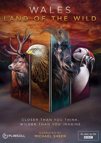 Watch Wales: Land of the Wild 2019 poster