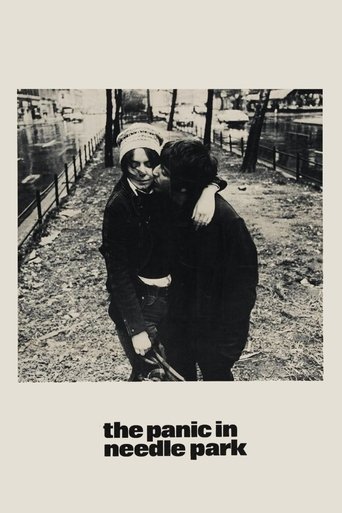 Watch The Panic in Needle Park 1971 poster