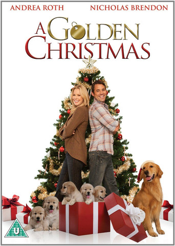 Watch A Golden Christmas 2009 poster