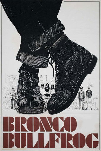 Watch Bronco Bullfrog 1969 poster