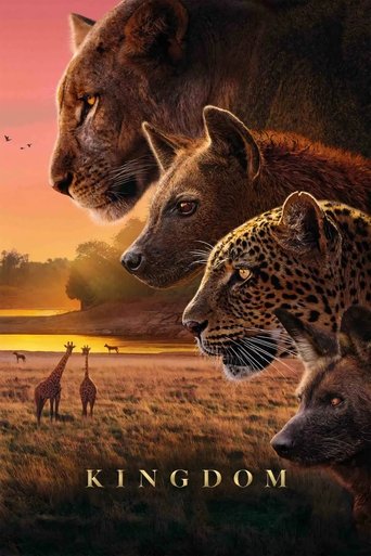 Watch Kingdom (2025) 2025 poster