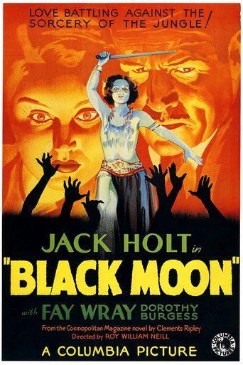 Watch Black Moon 1934 poster