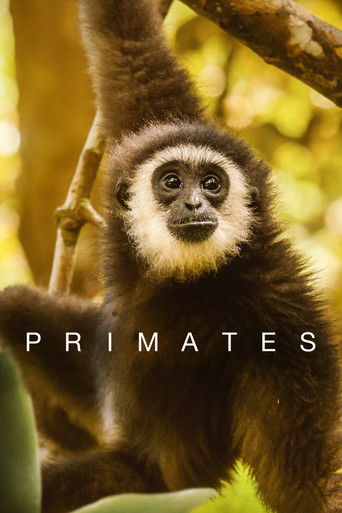 Watch Primates 2020 poster
