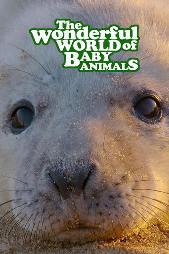 Wonderful World of Baby Animals 2019