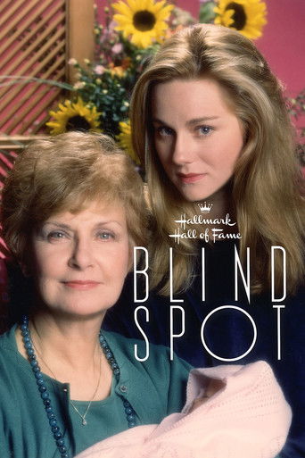 Watch Blind Spot 1993 poster