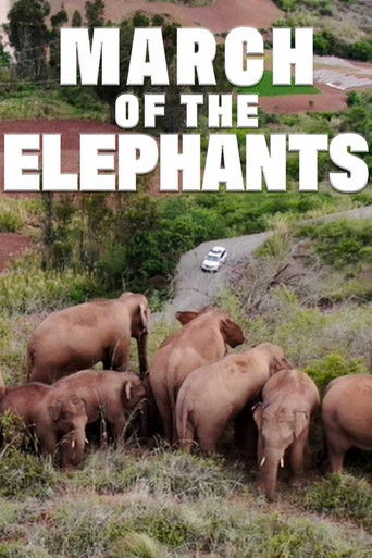 Watch March of the Elephants 2022 poster
