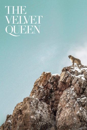 Watch The Velvet Queen 2021 poster