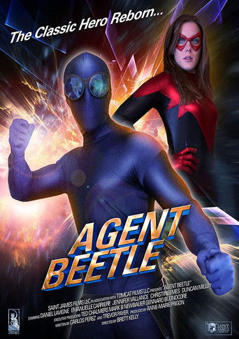 Watch Agent Beetle 2013 poster