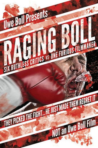 Watch Raging Boll 2010 poster