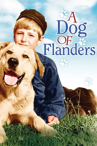 Watch A Dog of Flanders 1959 poster