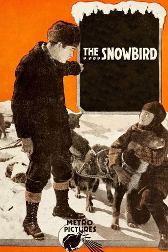 Watch The Snowbird 1916 poster